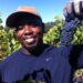 unconscious bias in wine