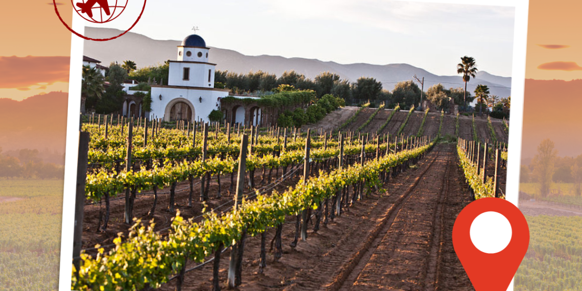 travel for Latin American wines