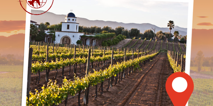 travel for Latin American wines