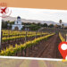 travel for Latin American wines
