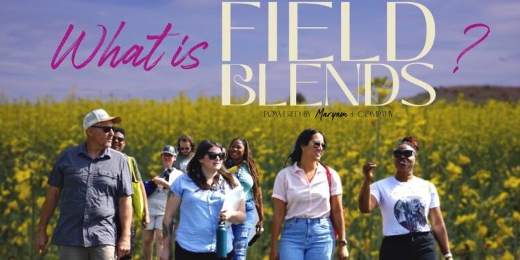 What is Field Blends Wine Travel