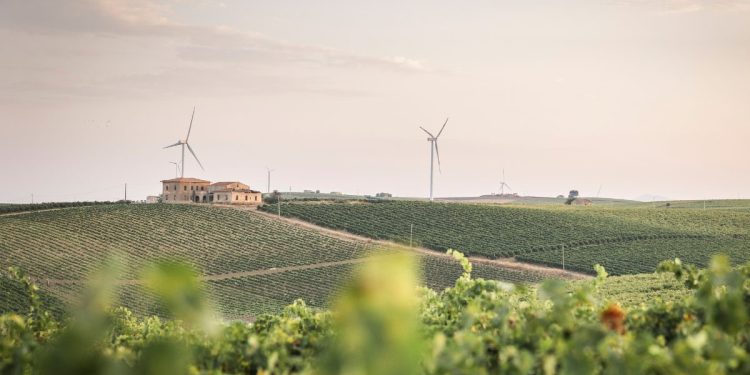 Social sustainability via Caruso winery
