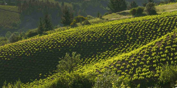 Sustainability header