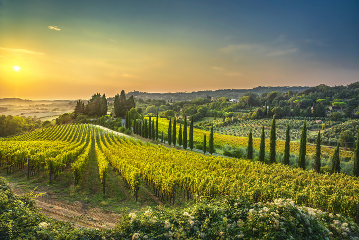Casale Marittimo village and vineyards in Tuscany showcasing luxury wine experiences and countryside hotel destinations
