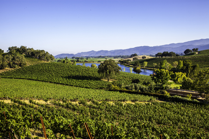 Napa Valley vineyards with pond and mountains showcasing luxury wine experiences beyond traditional wine festivals.