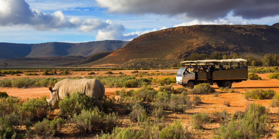 Adventure travel in Africa with safari truck and rhino in the Western Cape, South Africa.