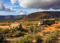 Adventure travel in Africa with safari truck and rhino in the Western Cape, South Africa.