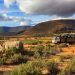 Adventure travel in Africa with safari truck and rhino in the Western Cape, South Africa.