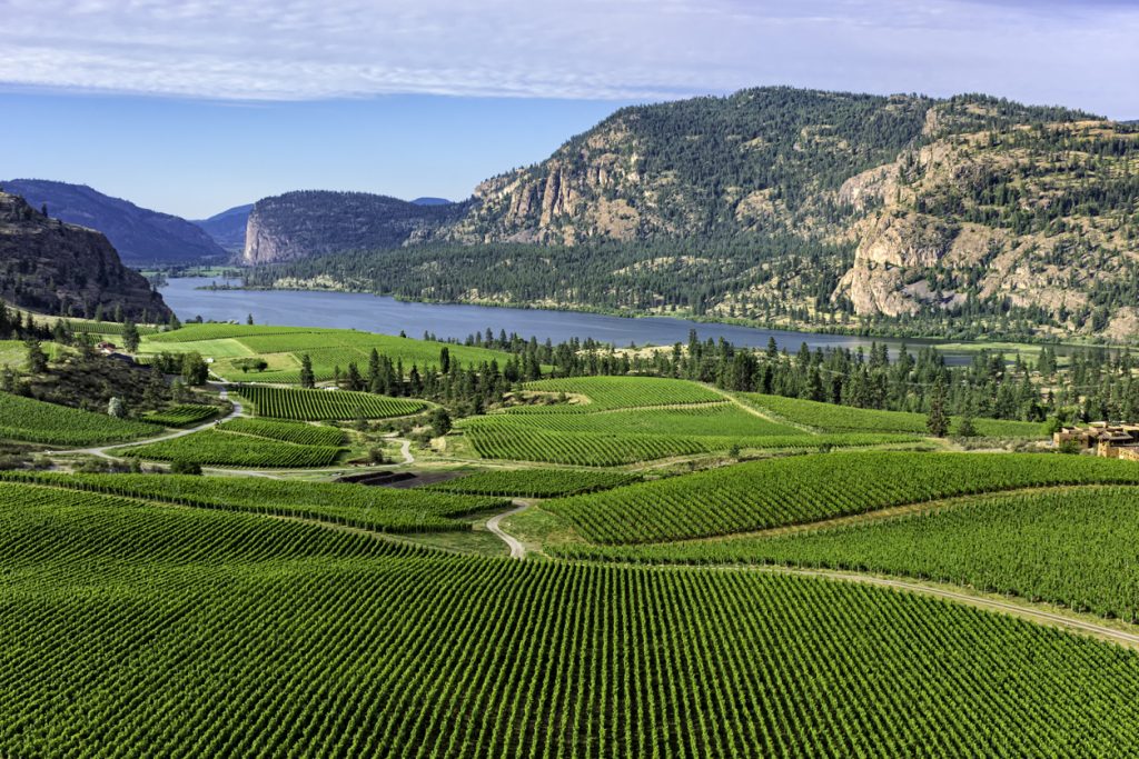 Okanagan Valley vineyards with lake and mountain views under a bright summer sky | wine guide 2025