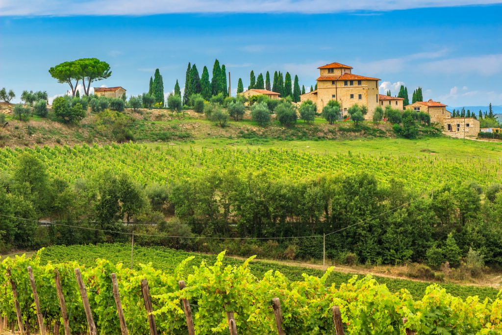 Tuscany vineyard landscape with rolling hills and rustic villas under a clear sky | wine guide 2025